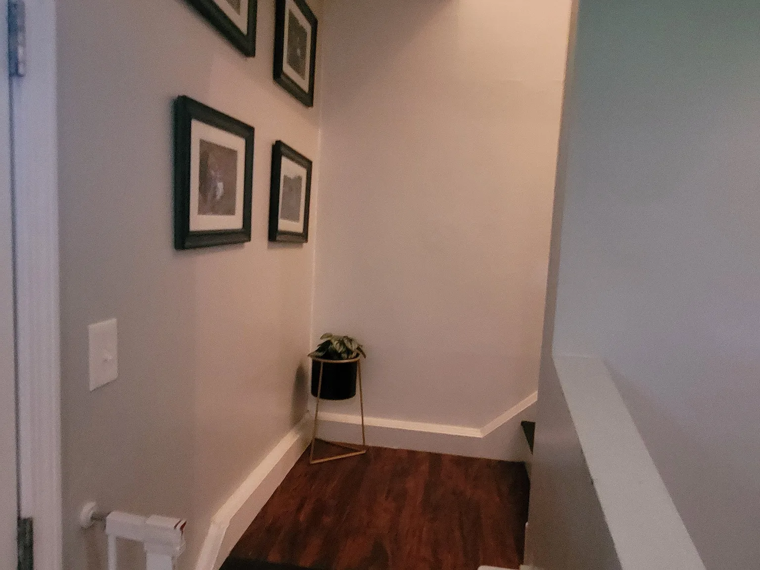 2 bed, 1.5 bath, 1000 sqft, $2,000 — Photo 4