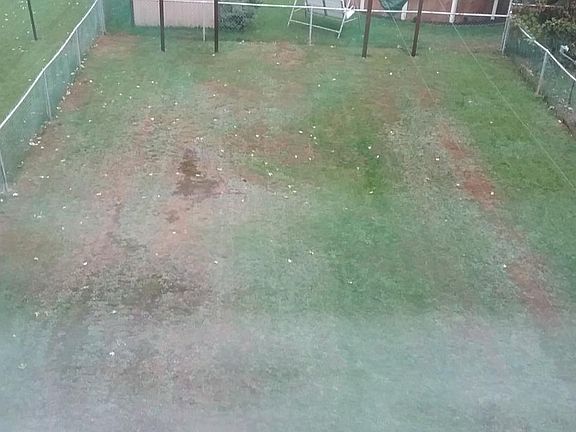 Rear Yard