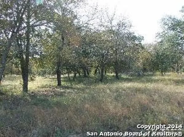 160 County Road 7812, Natalia, TX 78059