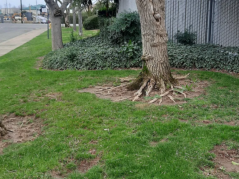 Heather Glen — Photo 8