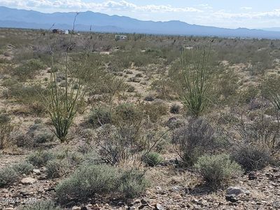LOT 12 S Roll Rd, Yucca, AZ, 86438