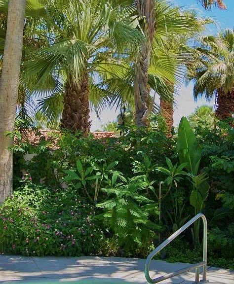 114 E Palo Verde Ave — Photo 11