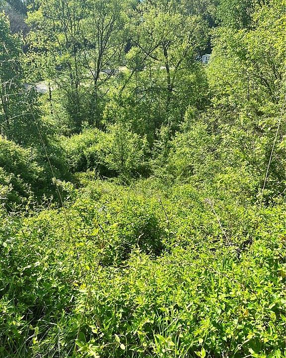 2nd image of 4889 Oak Branch Ln