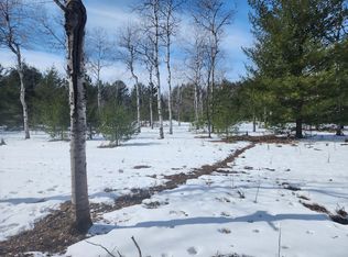 0 Hall Creek Rd, Interlochen, MI 49643