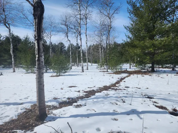 0 Hall Creek Rd, Interlochen, MI 49643