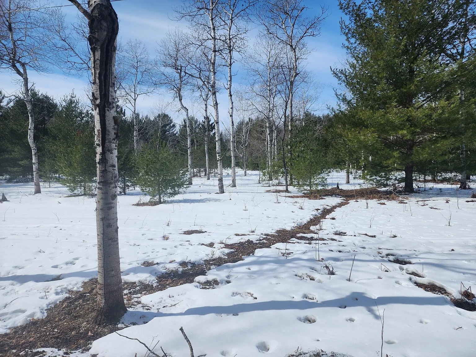 0 Hall Creek Rd photo 1