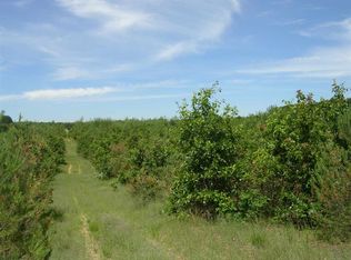 17 Drive, Wild Rose, WI 54984