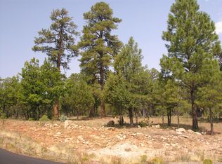 1914 Cedar Canyon Cir, Happy Jack, AZ 86024