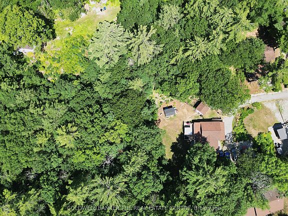 4th image of 5594 Upper Big Chute Rd