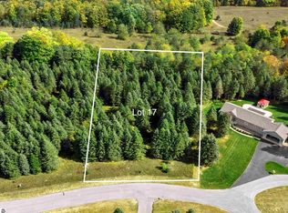 LOT 17 Lipp Farm Rd, Benzonia, MI 49616