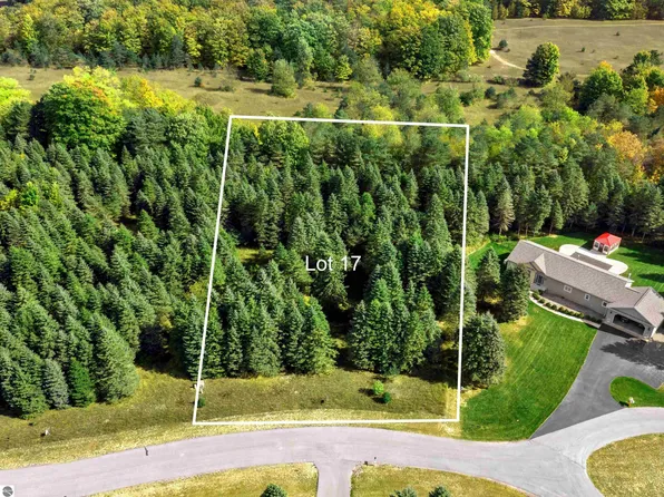 LOT 17 Lipp Farm Rd, Benzonia, MI 49616