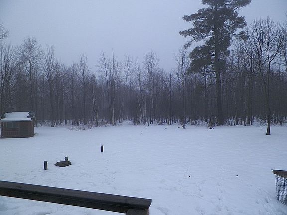 Large backyard w/ playhouse