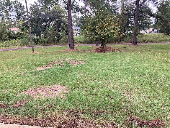 2nd image of 1203 Towering Pines Ln