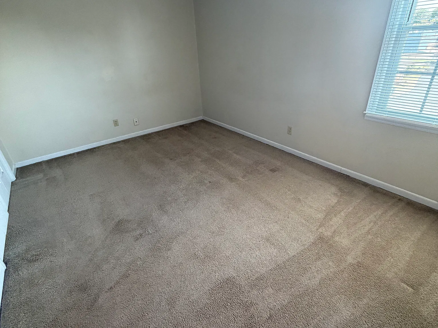 2 bed, $900 — Photo 4