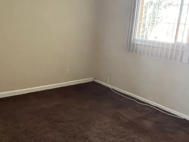 505 Palm Dr — Photo 13