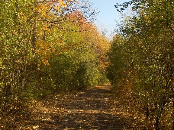 Pathway surrounding the lake