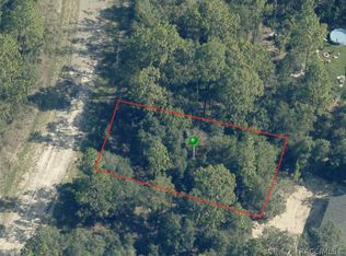5923 N Matheson Dr, Citrus Springs, FL 34434