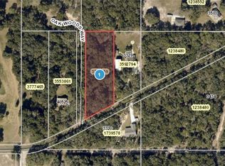 3315 Griffin Ave, Lady Lake, FL 32159