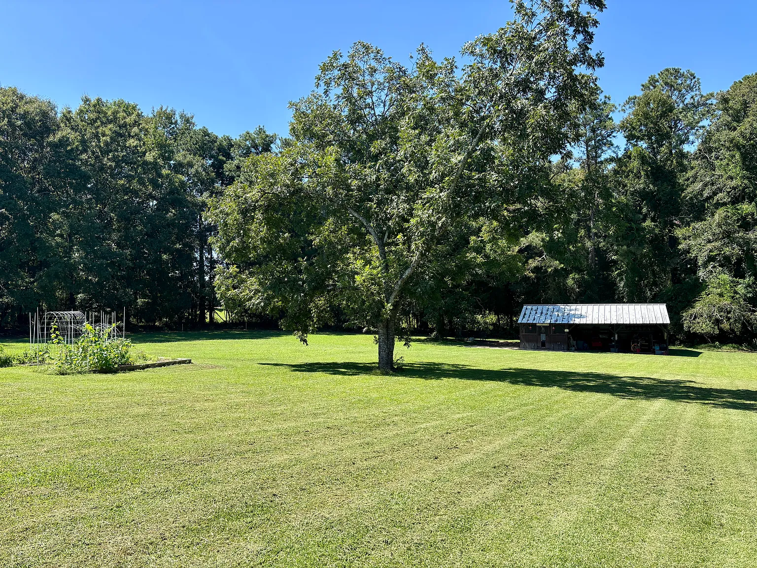 2 bed, $1,350 — Photo 3