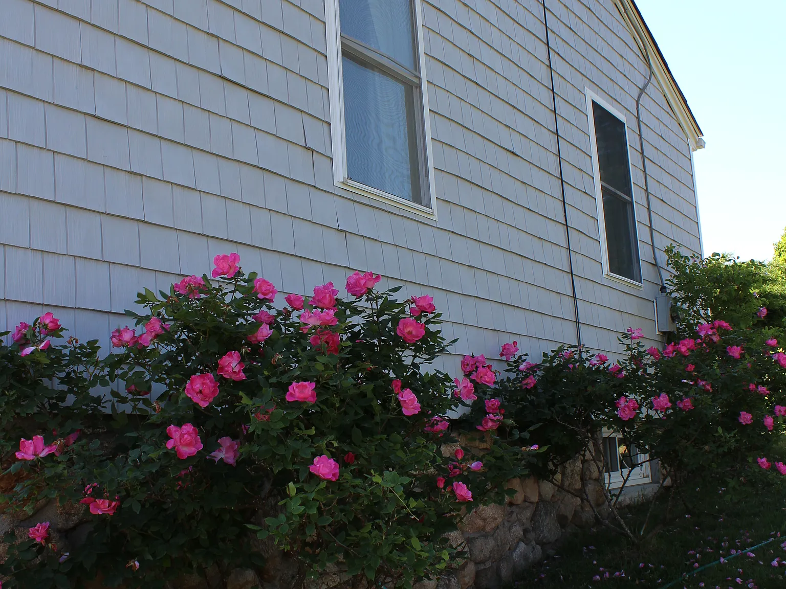 17 Trolley Ln — Photo 1