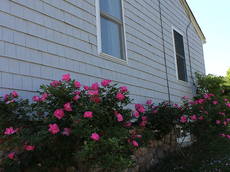7 Cattail Dr — Photo 1