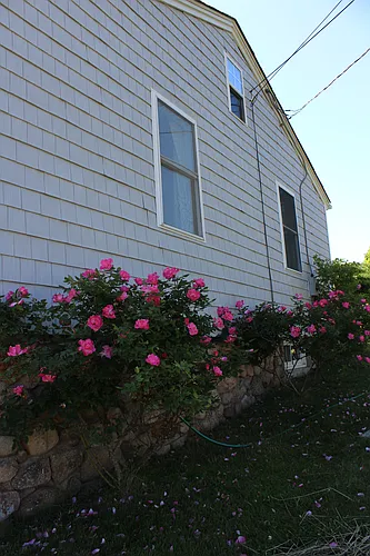7 Cattail Dr Photo 1