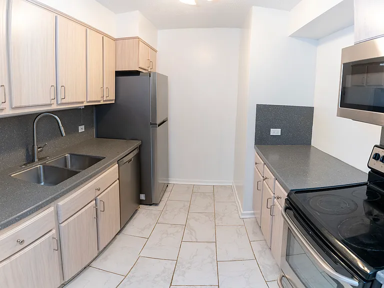 1169 S Plymouth Ct #302 — Photo 4