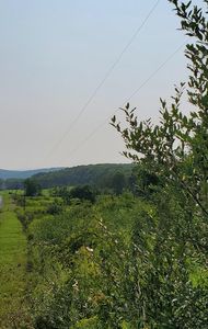 0 Carpenter Rd, Mansfield, PA, 16933