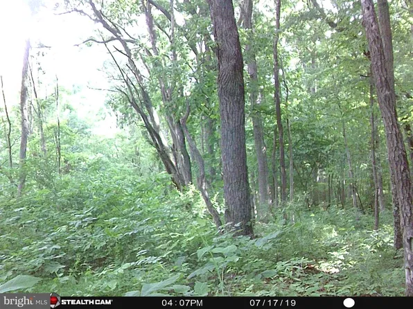 Valley View Rd, Rileyville, VA 22650