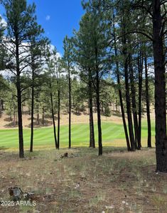 3607 S Woodland Hills Dr #372, Flagstaff, AZ, 86005