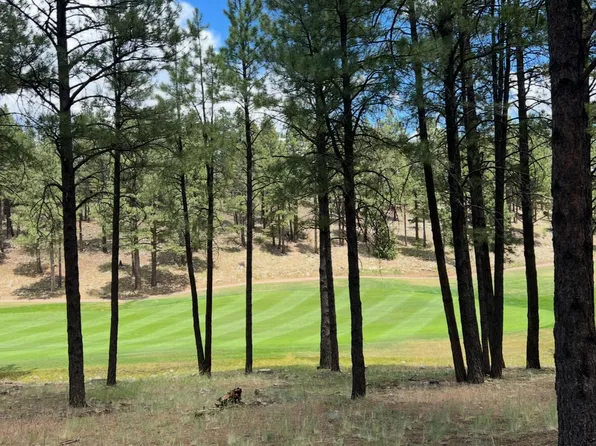 3607 S Woodland Hills Drive #372, Flagstaff, AZ 86005