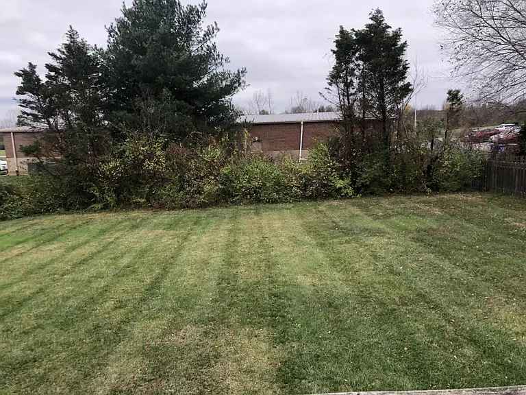 112 Jersey Ct — Photo 19