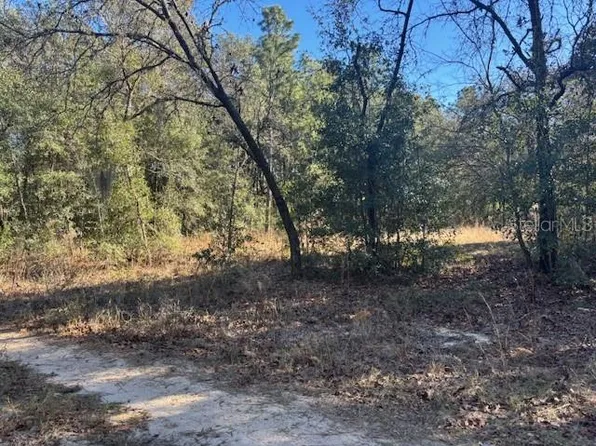 0 NW 9th Pl Lot 28-33, Ocala, FL 34482