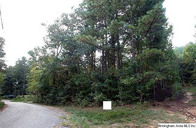 2nd image of 267 Shadowood Ln