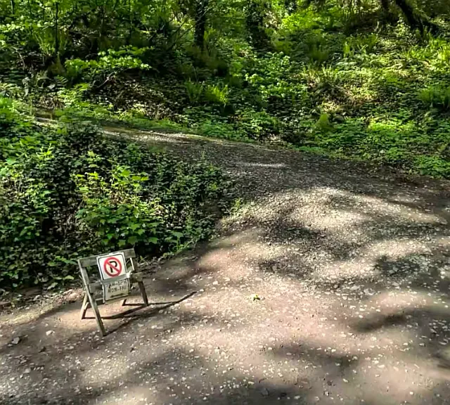Maple Trail trailhead.