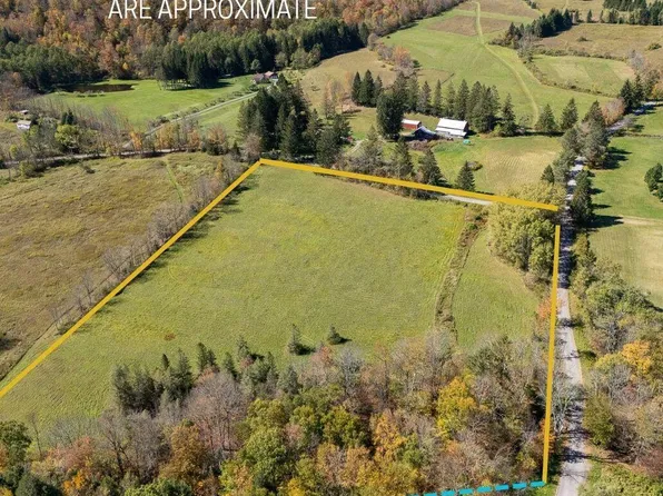 Tbd Lower Dingle Hill Road, Andes, NY 13731