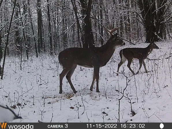 Mud Lake Rd Lot Wp001, Bellevue, MI 49021