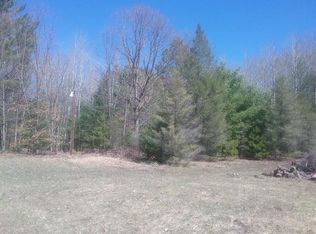 Eagles Nest 10 Acres, Indian River, MI 49749