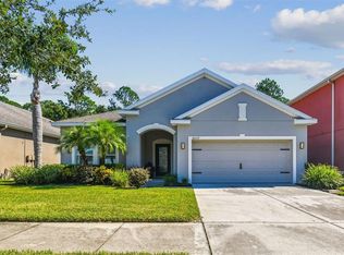 20237 Autumn Fern Ave, Tampa, FL 33647