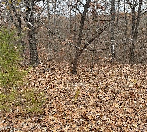 4th image of Denver Ln #8