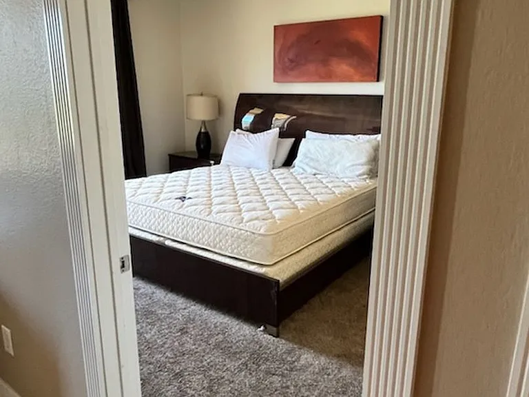 210 E Flamingo Rd #316 — Photo 5