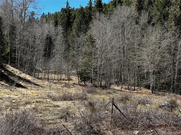 Lot 223 Hwy 160 LOT 223, Fort Garland, CO 81133