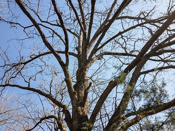 5th image of 0 Shands Rd