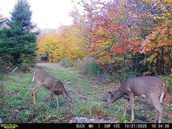 5th image of Asa Hutchinson Rd Lot Wp001