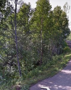 Nhn Gold Vein Rd, Fairbanks, AK, 99712