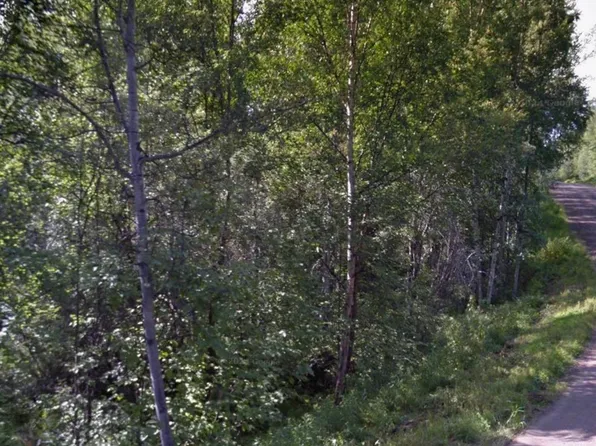 Nhn Gold Vein Rd, Fairbanks, AK 99712