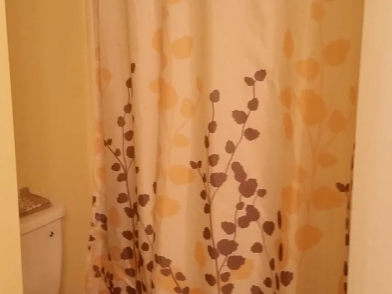 Shower/ tub with arched shower rod