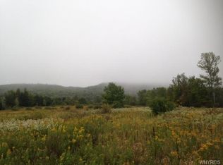 322 Hardy Corners Rd, Franklinville, NY 14737