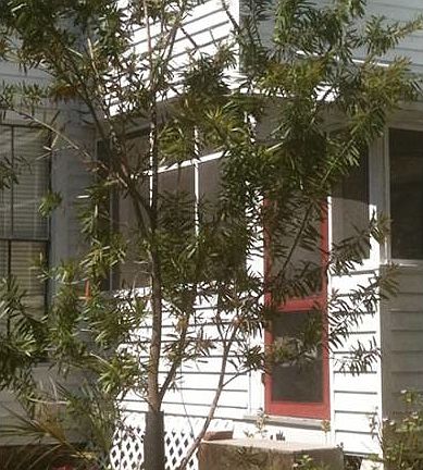 Screened Porch Outside