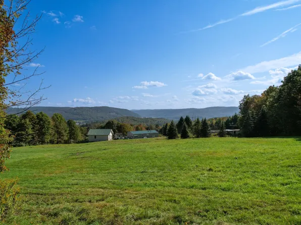 0 Cheese Factory Rd, Deposit, NY 13754